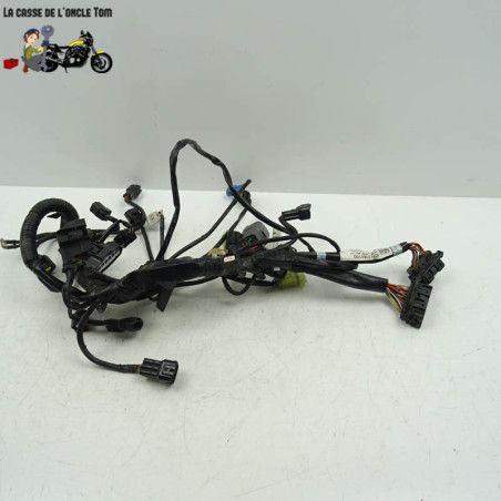 Faisceau électrique moteur KTM 1290 super adventure s 2018 - CTM-12095-031
