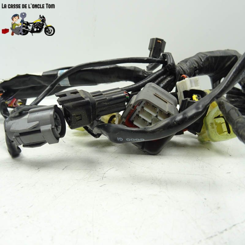 Faisceau électrique moteur KTM 1290 super adventure s  2018 - CTM-12095-031