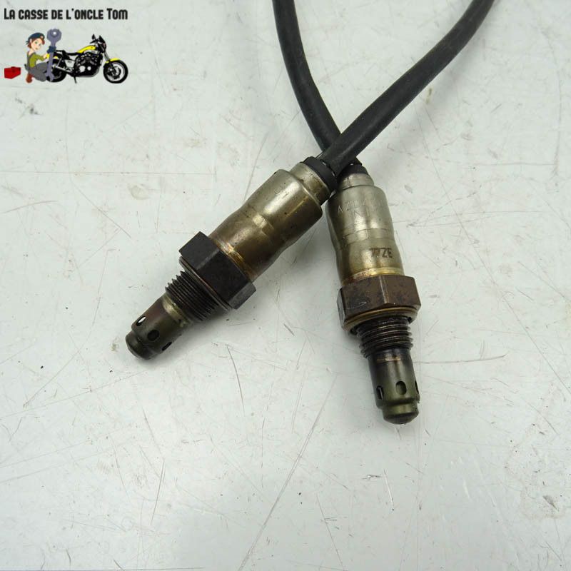 Sondes lambda KTM 1290 super adventure s  2018 - CTM-12095-084