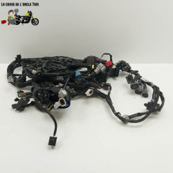 Faisceau électrique Kawasaki 1000 versys 2021 - CTM-11991-005