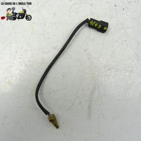 Sonde de température Mash...