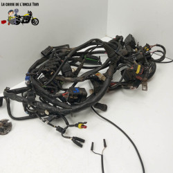 Faisceau électrique Ducati 944 ST2 1998 - CTM-12386-030