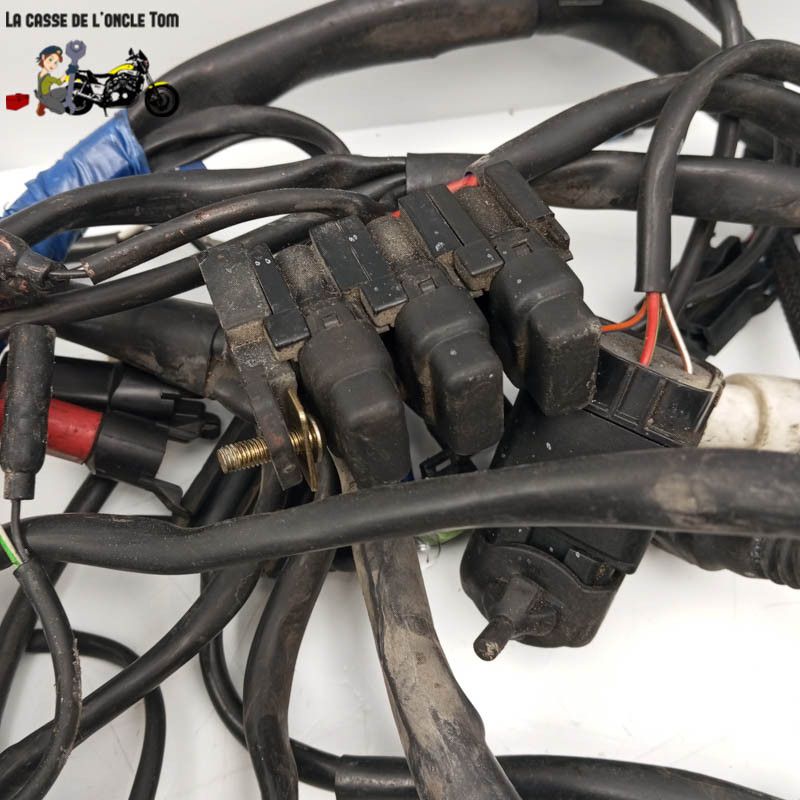 Faisceau électrique Ducati 944 ST2 1998 - CTM-12386-030