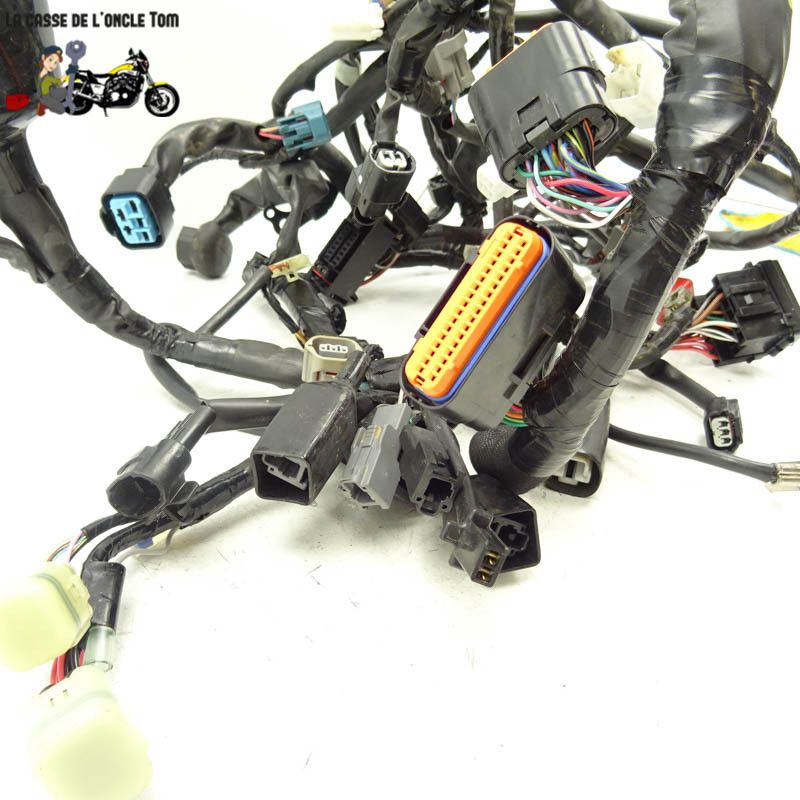 Faisceau électrique  Kawasaki 650 z 2017 - CTM-12586-043