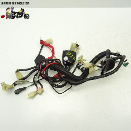 Faisceaux électrique Keeway 125 rkv 2016 - CTM-8737-013