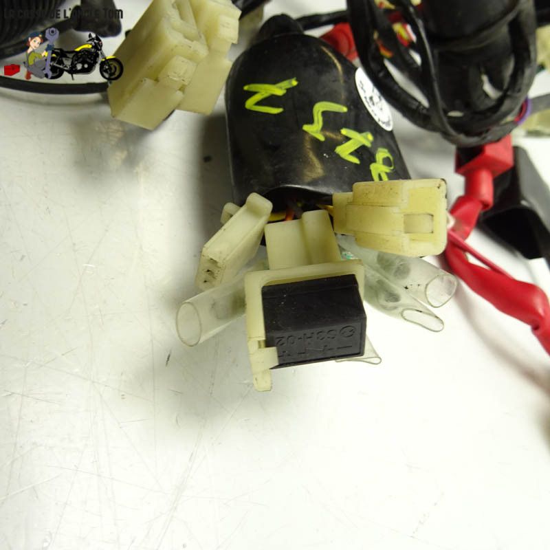 Faisceaux électrique  Keeway 125 rkv 2016 - CTM-8737-013