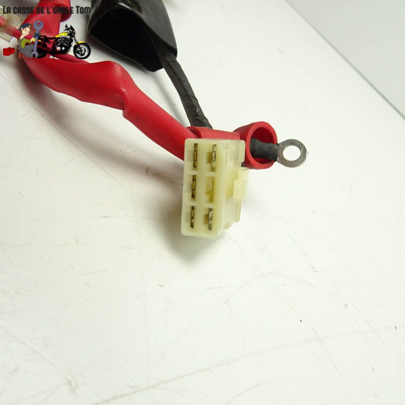 Faisceaux électrique  Keeway 125 rkv 2016 - CTM-8737-013