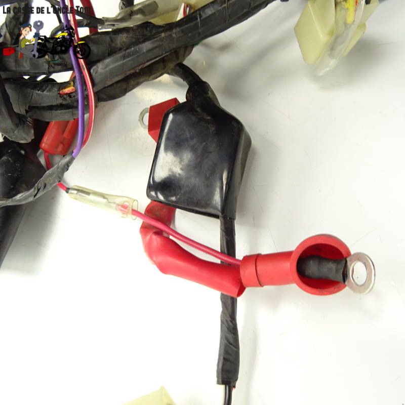 Faisceaux électrique  Keeway 125 rkv 2016 - CTM-8737-013