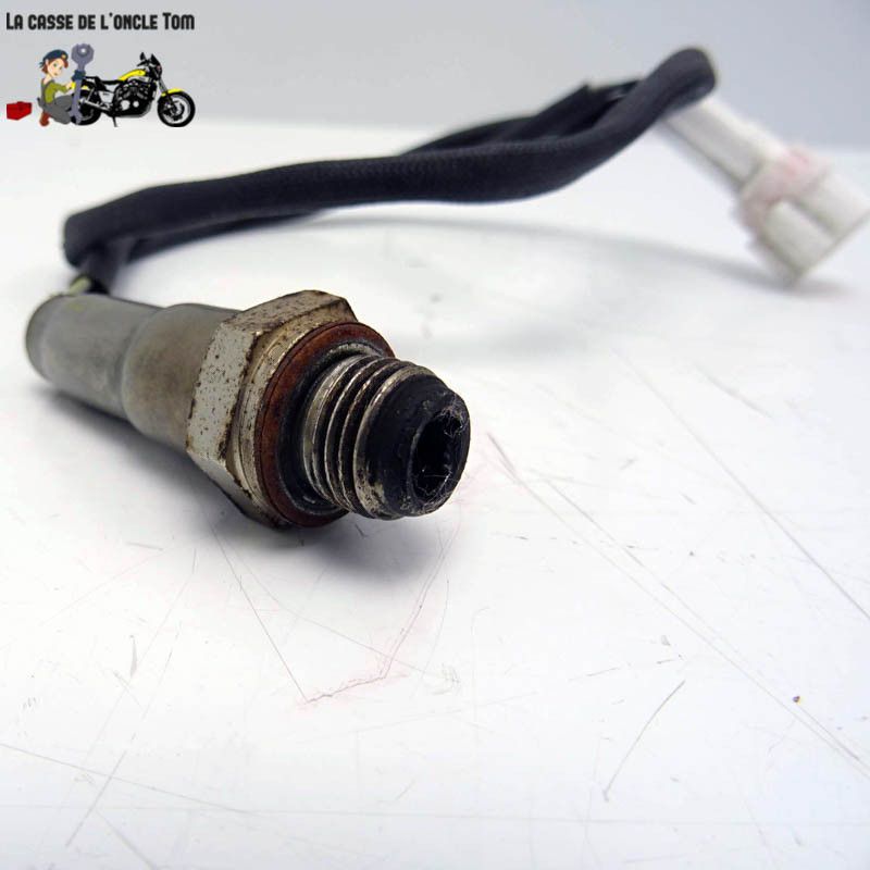 Sonde lambda  JM Motors 50 GT- Line 2019 - CTM-12652-062