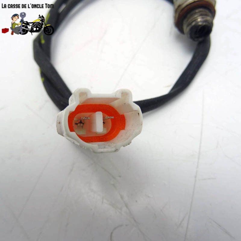 Sonde lambda  JM Motors 50 GT- Line 2019 - CTM-12652-062