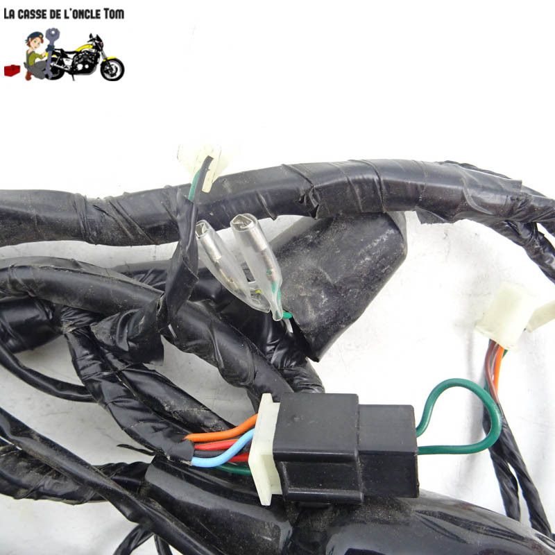 Faisceau électrique  JM Motors 50 GT- Line 2019 - CTM-12652-047