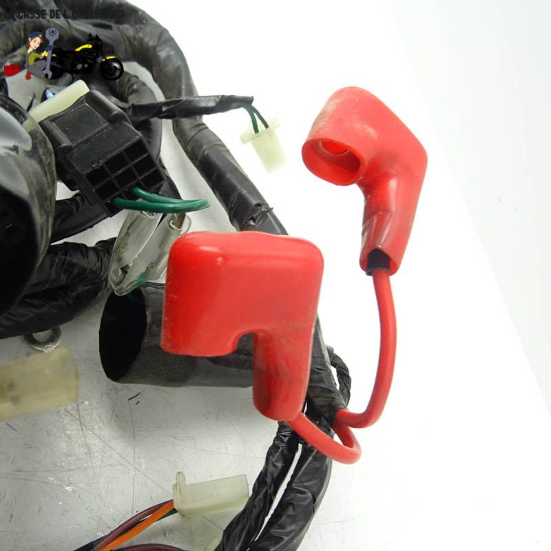 Faisceau électrique  JM Motors 50 GT- Line 2019 - CTM-12652-047