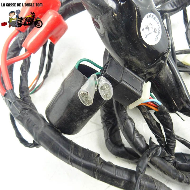 Faisceau électrique  JM Motors 50 GT- Line 2019 - CTM-12652-047