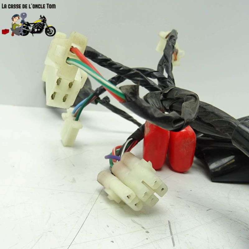 Faisceau électrique  JM Motors 50 GT- Line 2019 - CTM-12652-047