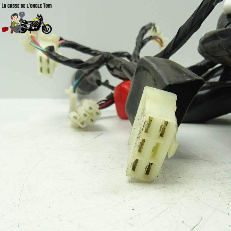 Faisceau électrique  JM Motors 50 GT- Line 2019 - CTM-12652-047