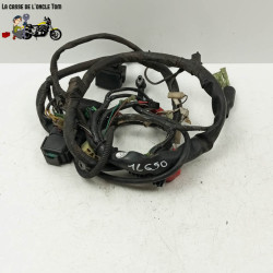 Faisceau éléctrique Honda 500 PC32 CB 1996 - CTM-12650-049