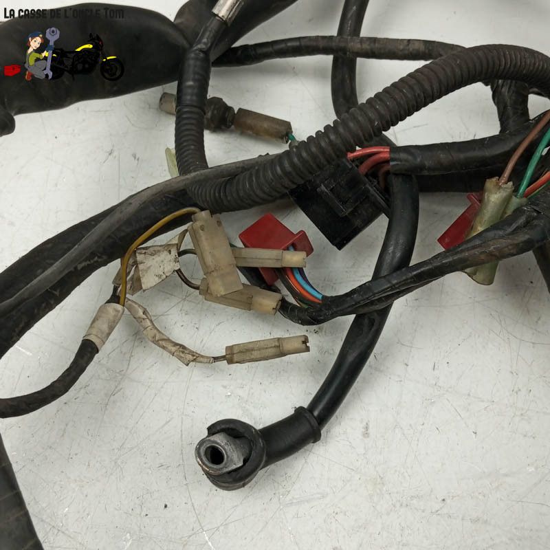 Faisceau éléctrique  Honda 500 PC32 CB 1996 - CTM-12650-049