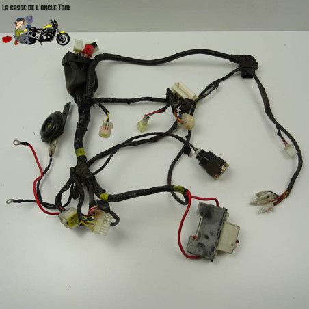 Faisceau électrique Vmoto Soco 50 TS 111 2019 - CTM-11606-023