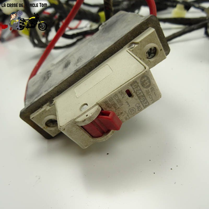 Faisceau électrique  Vmoto Soco 50 TS 111 2019 - CTM-11606-023