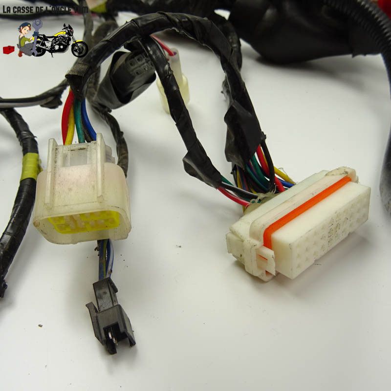 Faisceau électrique  Vmoto Soco 50 TS 111 2019 - CTM-11606-023