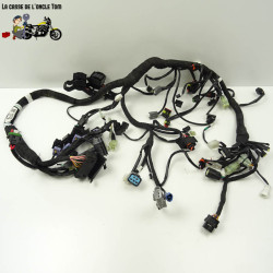 Faisceau électrique KTM 890 Duke R 2023 - CTM-12602-027