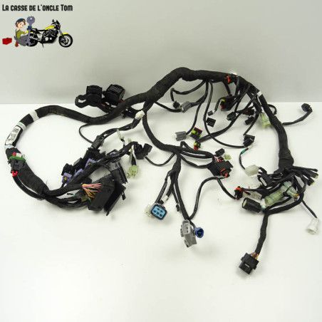Faisceau électrique KTM 890 Duke R 2023 - CTM-12602-027