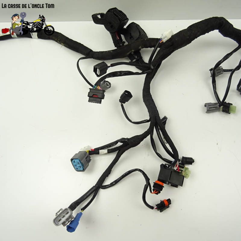 Faisceau électrique KTM 890 Duke R 2023 - CTM-12602-027