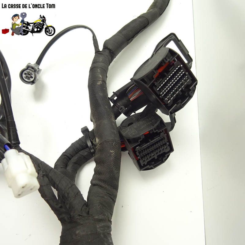 Faisceau électrique KTM 890 Duke R 2023 - CTM-12602-027