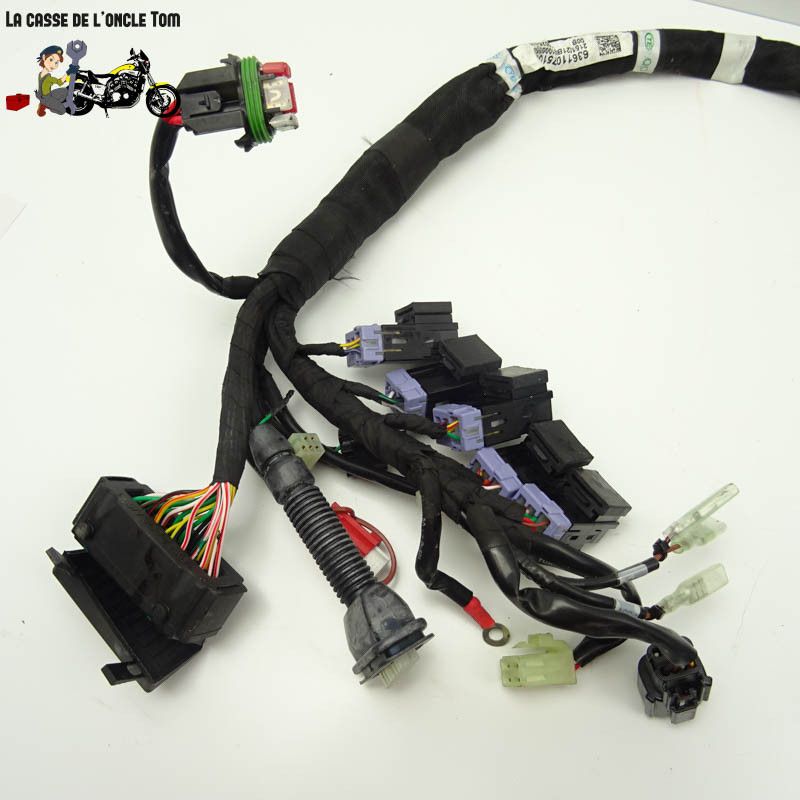 Faisceau électrique KTM 890 Duke R 2023 - CTM-12602-027