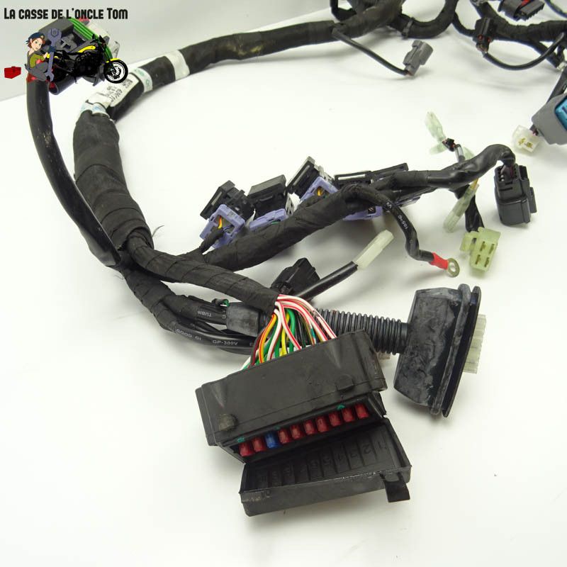 Faisceau électrique KTM 890 Duke R 2023 - CTM-12602-027