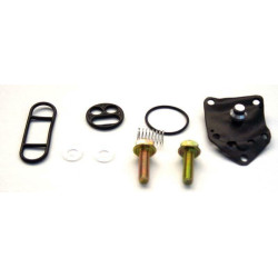 Kit rÃ©paration de robinet d'essence TOURMAX - 824112