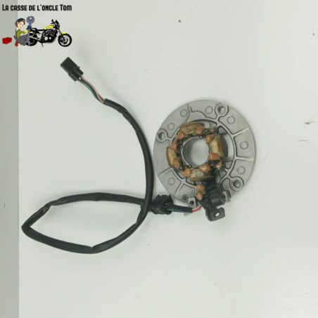 Stator Yamaha WR 250 F 2002 - CTM-12152-022