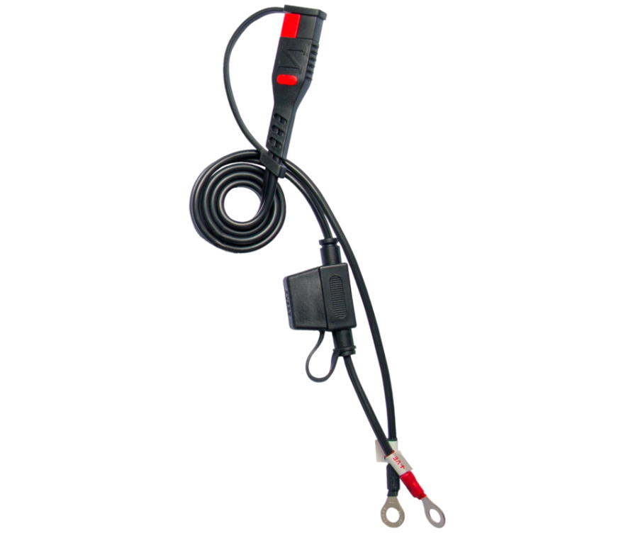 Chargeur de batterie intelligent BS BATTERY BS10 - 6V/12V 1A - 1105620