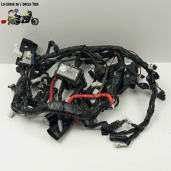 Faisceau éléctrique Yamaha 900 Mt-09 tracer 2021 - CTM-12906-056