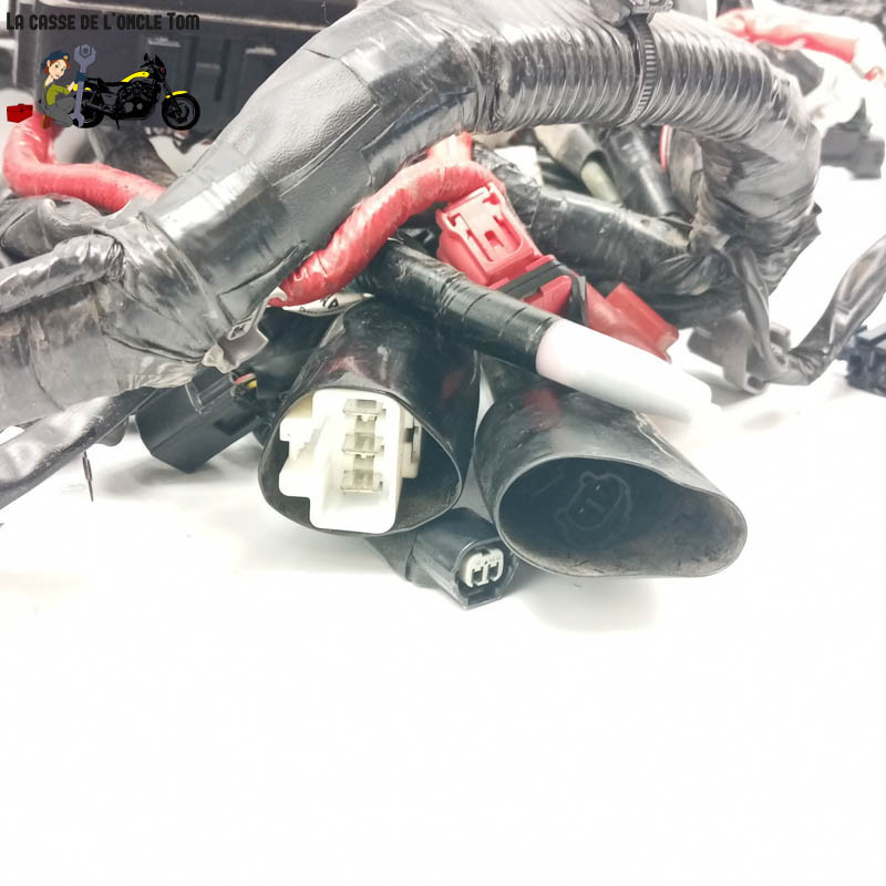 Faisceau éléctrique  Yamaha 900 Mt-09 tracer 2021 - CTM-12906-056