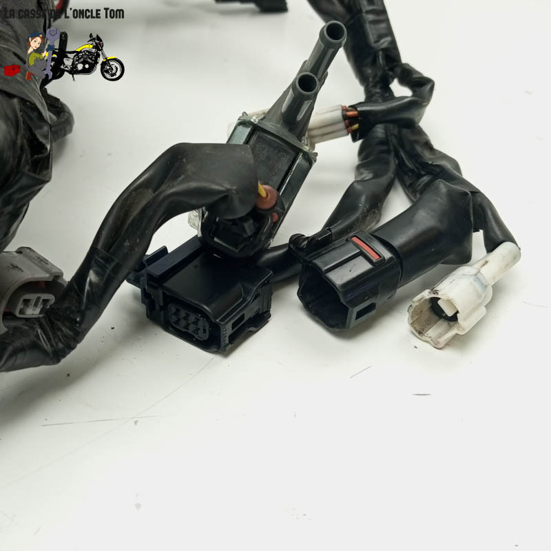 Faisceau éléctrique  Yamaha 900 Mt-09 tracer 2021 - CTM-12906-056
