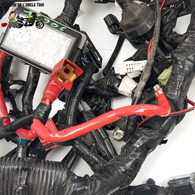 Faisceau éléctrique  Yamaha 900 Mt-09 tracer 2021 - CTM-12906-056