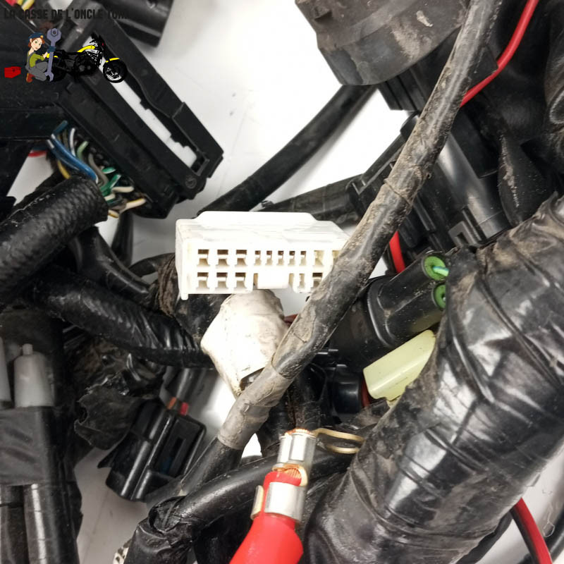 Faisceau éléctrique  Yamaha 900 Mt-09 tracer 2021 - CTM-12906-056