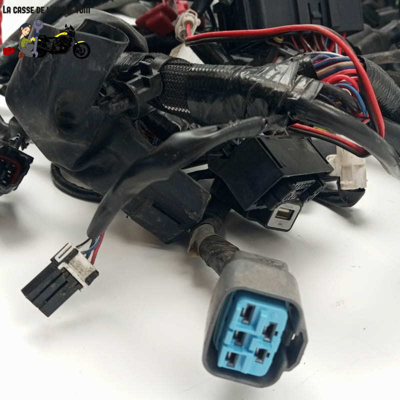 Faisceau éléctrique  Yamaha 900 Mt-09 tracer 2021 - CTM-12906-056
