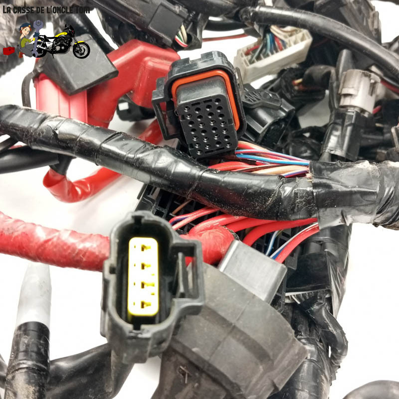 Faisceau éléctrique  Yamaha 900 Mt-09 tracer 2021 - CTM-12906-056