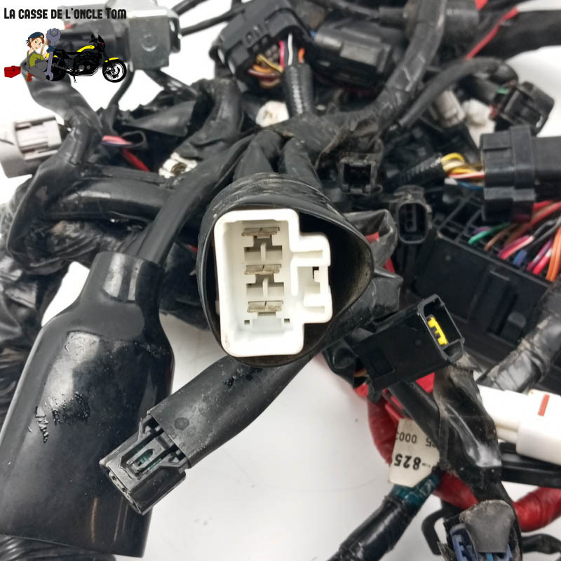 Faisceau éléctrique  Yamaha 900 Mt-09 tracer 2021 - CTM-12906-056