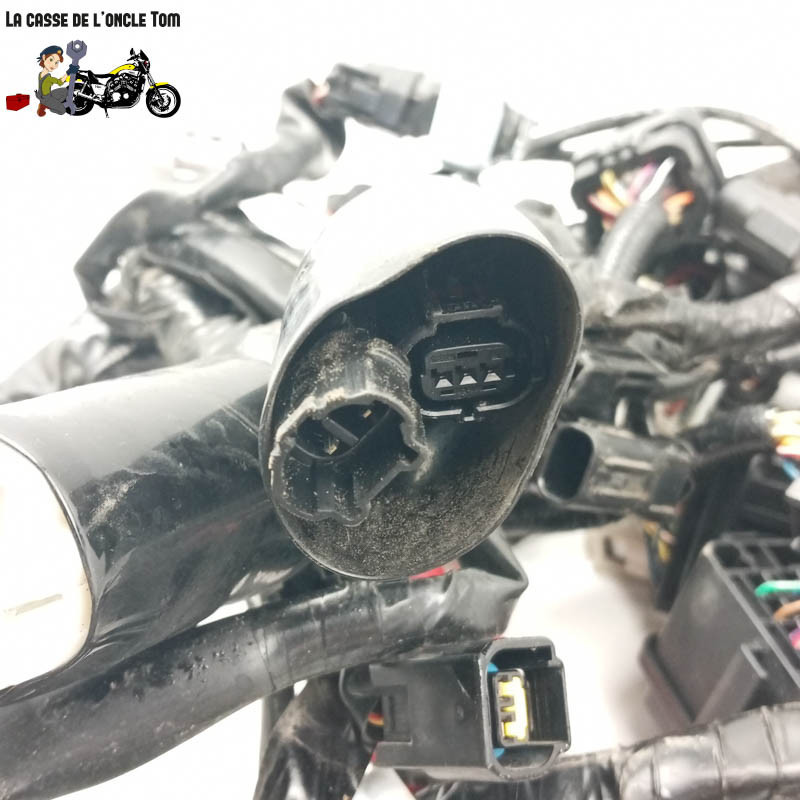 Faisceau éléctrique  Yamaha 900 Mt-09 tracer 2021 - CTM-12906-056