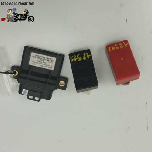 Boitiers électroniques Mash 50 Legend'r naked 2023 - CTM-12915-022