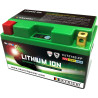 Batterie SKYRICH Lithium-Ion - LTZ10S - 1079096