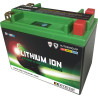 Batterie SKYRICH Lithium-Ion - LTX20L - 1079102