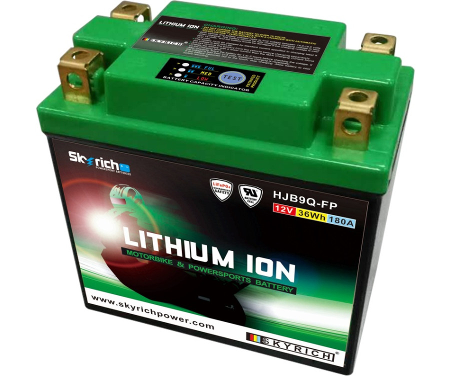 Batterie SKYRICH Lithium-Ion - LIB9 - 1079106