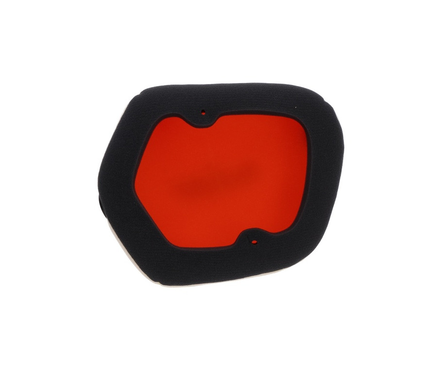 Filtre à air TWIN AIR - 154225 - 1118841