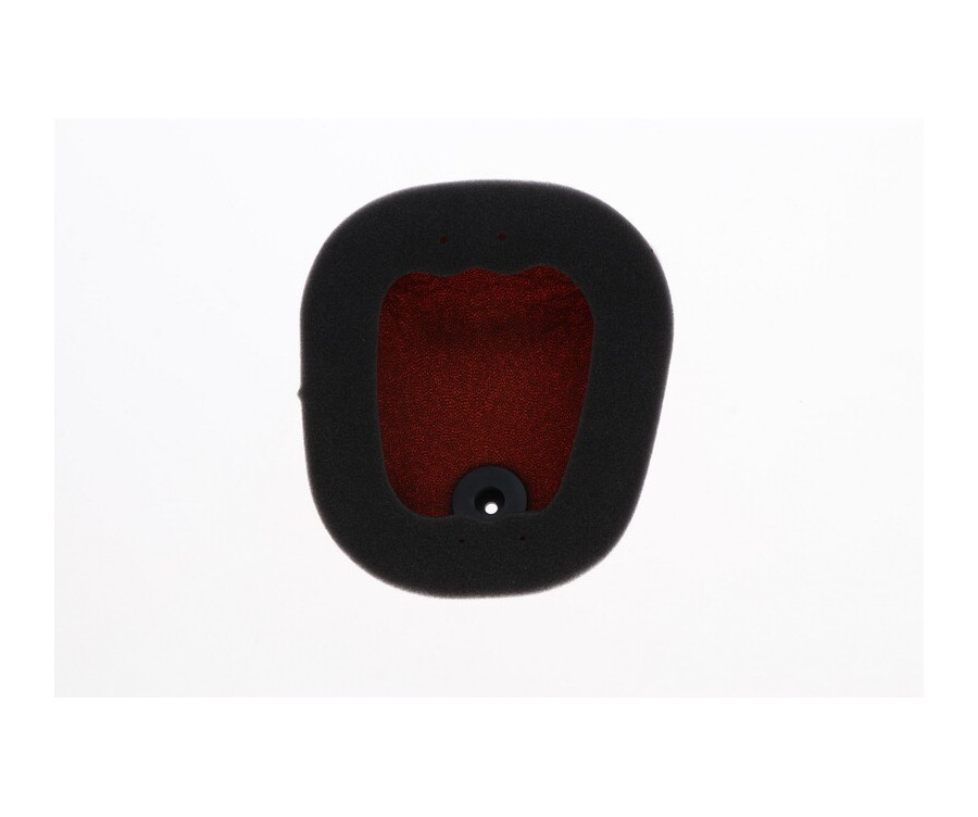 Filtre air TWIN AIR power flow / back fire - 1090278