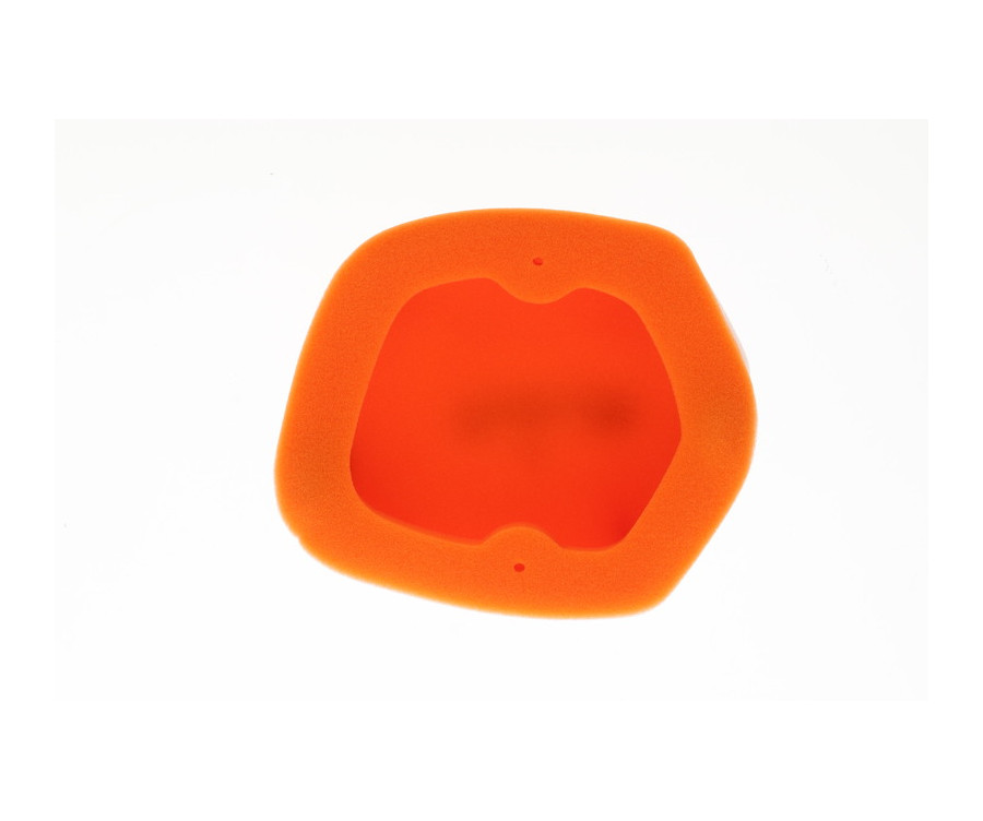 Filtre à air TWIN AIR - 154118 - 1118838