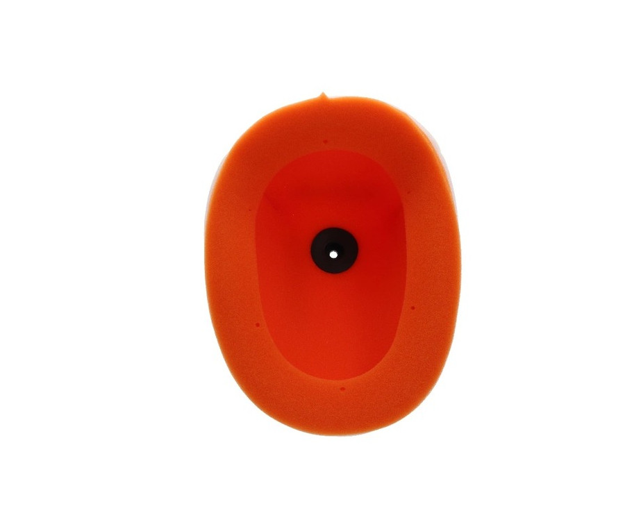 Filtre à air TWIN AIR - 158162 - 1111431